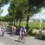 In Bici lungo la Strada dei Vini del Cantico