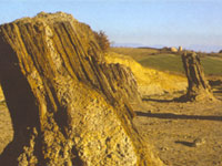 Foresta fossile Dunarobba