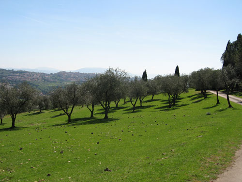 panorama perugia, citta della domenica